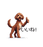 ドット絵 ラブラドゥードル 犬 茶 日常会話（個別スタンプ：7）