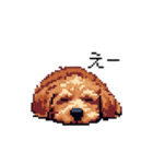 ドット絵 ラブラドゥードル 犬 茶 日常会話（個別スタンプ：10）