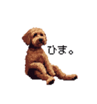 ドット絵 ラブラドゥードル 犬 茶 日常会話（個別スタンプ：11）