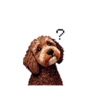 ドット絵 ラブラドゥードル 犬 茶 日常会話（個別スタンプ：14）