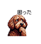 ドット絵 ラブラドゥードル 犬 茶 日常会話（個別スタンプ：15）