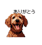 ドット絵 ラブラドゥードル 犬 茶 日常会話（個別スタンプ：19）