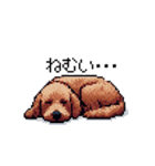 ドット絵 ラブラドゥードル 犬 茶 日常会話（個別スタンプ：20）