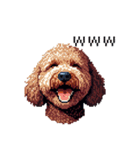 ドット絵 ラブラドゥードル 犬 茶 日常会話（個別スタンプ：22）