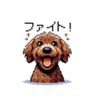 ドット絵 ラブラドゥードル 犬 茶 日常会話（個別スタンプ：23）