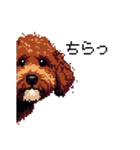 ドット絵 ラブラドゥードル 犬 茶 日常会話（個別スタンプ：24）