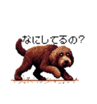 ドット絵 ラブラドゥードル 犬 茶 日常会話（個別スタンプ：26）