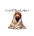 ドット絵 ラブラドゥードル 犬 茶 日常会話（個別スタンプ：27）