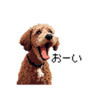 ドット絵 ラブラドゥードル 犬 茶 日常会話（個別スタンプ：28）