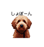 ドット絵 ラブラドゥードル 犬 茶 日常会話（個別スタンプ：30）