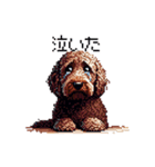 ドット絵 ラブラドゥードル 犬 茶 日常会話（個別スタンプ：33）