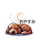 ドット絵 ラブラドゥードル 犬 茶 日常会話（個別スタンプ：34）