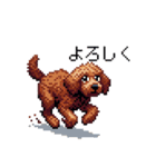 ドット絵 ラブラドゥードル 犬 茶 日常会話（個別スタンプ：36）