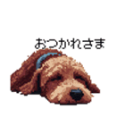 ドット絵 ラブラドゥードル 犬 茶 日常会話（個別スタンプ：37）