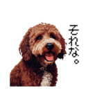 ドット絵 ラブラドゥードル 犬 茶 日常会話（個別スタンプ：38）