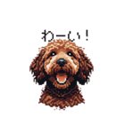 ドット絵 ラブラドゥードル 犬 茶 日常会話（個別スタンプ：40）