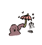 雨のショコラ犬（個別スタンプ：3）