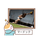 TERUドックLINEスタンプ（個別スタンプ：5）