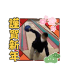 TERUドックLINEスタンプ（個別スタンプ：19）