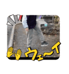 TERUドックLINEスタンプ（個別スタンプ：24）