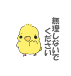 カラフルふわふわインコ（個別スタンプ：1）