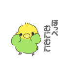 カラフルふわふわインコ（個別スタンプ：3）