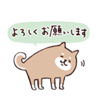 ◯ SHIBAINUさん ◯ゆるく毎日使える（個別スタンプ：9）