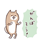 ◯ SHIBAINUさん ◯ゆるく毎日使える（個別スタンプ：29）