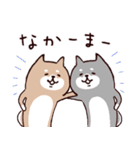 ◯ SHIBAINUさん ◯ゆるく毎日使える（個別スタンプ：36）