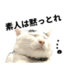 前髪猫ロン（個別スタンプ：7）