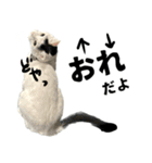 前髪猫ロン（個別スタンプ：9）