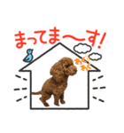 Cyacyaスタンプ（個別スタンプ：8）