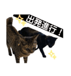 ケバブとクマ（個別スタンプ：14）
