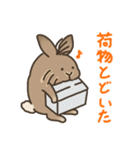 ふわふわうさぎのけだま（個別スタンプ：4）