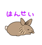 ふわふわうさぎのけだま（個別スタンプ：13）