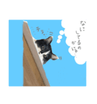 にゃにゃにゃだ！わん！（個別スタンプ：3）