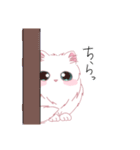 白猫さんといっしょ。（個別スタンプ：36）