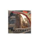 ゆうまさんの日常3（個別スタンプ：13）