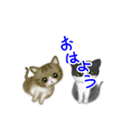 【動く猫ちゃん】ハチワレ＆キジシロ（個別スタンプ：4）