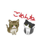 【動く猫ちゃん】ハチワレ＆キジシロ（個別スタンプ：19）