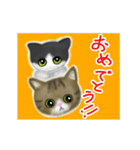 【動く猫ちゃん】ハチワレ＆キジシロ（個別スタンプ：24）