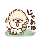 puppy トイプードル（個別スタンプ：5）