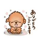 puppy トイプードル（個別スタンプ：13）