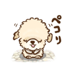 puppy トイプードル（個別スタンプ：16）