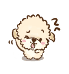 puppy トイプードル（個別スタンプ：31）