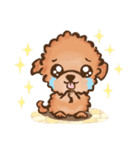 puppy トイプードル（個別スタンプ：33）