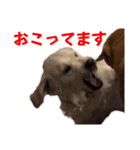 Pepe ＆ Mochi（個別スタンプ：12）