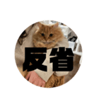 レオの生活のスタンプ（個別スタンプ：5）