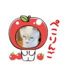 マリンの日常①（個別スタンプ：7）