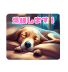 爆睡犬！（個別スタンプ：12）